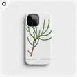1-74_Histoire-des-Plantes-Grasses_phone