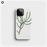 1-74_Histoire-des-Plantes-Grasses_phone