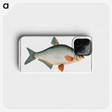 1-74_Ichtyologie-ou-Histoire-naturelle_phone