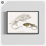 1-74_Indian-Zoology_blk-crop