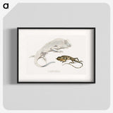 1-74_Indian-Zoology_blk