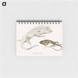 1-74_Indian-Zoology_memo