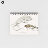 1-74_Indian-Zoology_memo