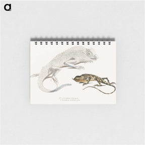 1-74_Indian-Zoology_memo