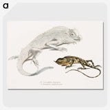 1-74_Indian-Zoology_picture-crop