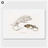 1-74_Indian-Zoology_picture