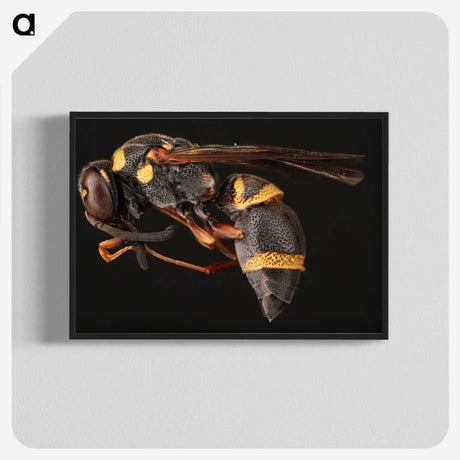 1-74_Insects-Unlocked-Project_blk-crop