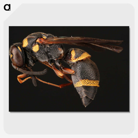 1-74_Insects-Unlocked-Project_picture-crop