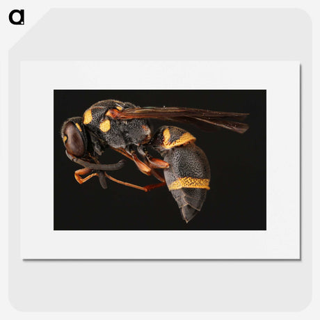 1-74_Insects-Unlocked-Project_picture