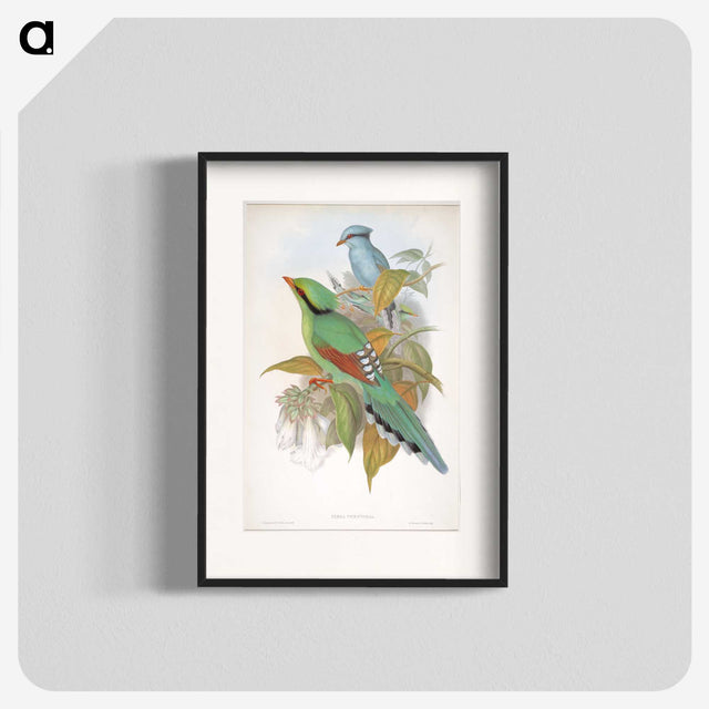 1-74_John-Gould_blk