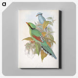 1-74_John-Gould_canvas