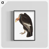 1-74_John-James-Audubon_blk-crop