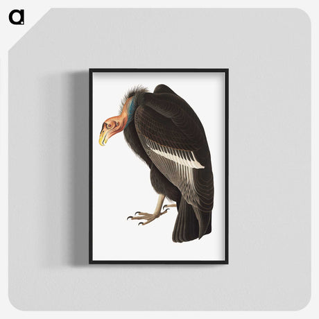 1-74_John-James-Audubon_blk-crop