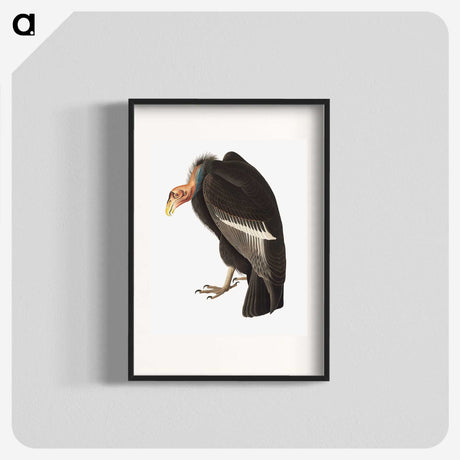 1-74_John-James-Audubon_blk