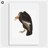1-74_John-James-Audubon_picture