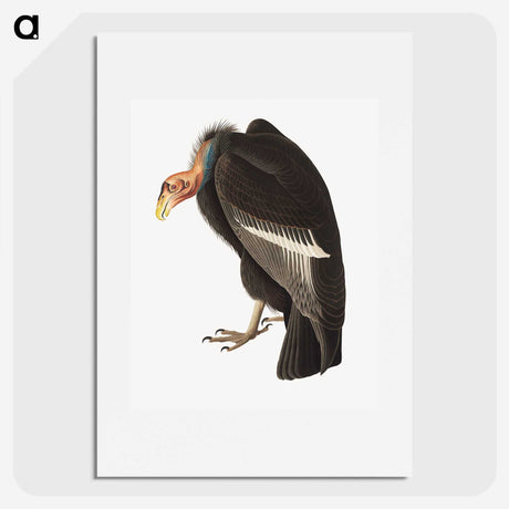 1-74_John-James-Audubon_picture
