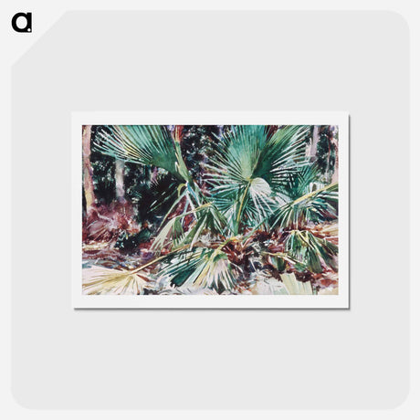 アートポストカード-Palmettos - ジョン シンガー サージェント Postcard.