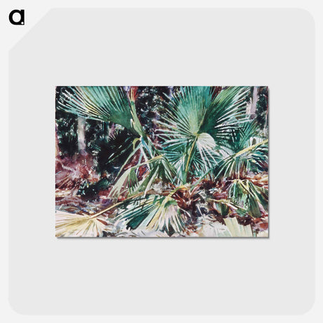 アートポストカード-Palmettos - ジョン シンガー サージェント Postcard.