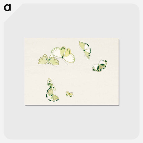 アートポストカード-One Thousand Butterflies - 神坂 雪佳 Postcard.