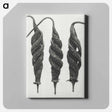 アートパネル-Cajophora Lateritia and Chili Nettle - カール ブロスフェルト Canvas.