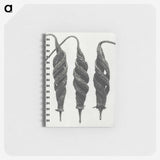 1-74_Karl-Blossfeldt_memo
