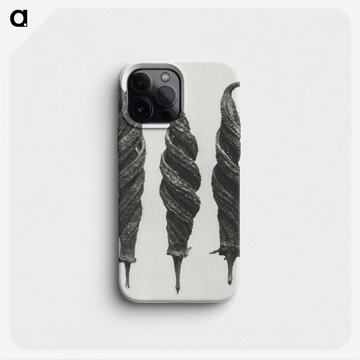 1-74_Karl-Blossfeldt_phone