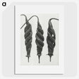1-74_Karl-Blossfeldt_picture