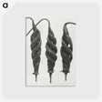 1-74_Karl-Blossfeldt_postcard