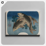 Hokusai's Carp Swimming by Water Weeds - 葛飾 北斎 Canvas.