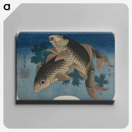アートパネル-Hokusai's Carp Swimming by Water Weeds - 葛飾 北斎 Canvas.