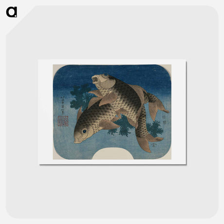 アートポストカード-Hokusai's Carp Swimming by Water Weeds - 葛飾 北斎 Postcard.