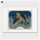 Hokusai's Carp Swimming by Water Weeds - Katsushika Hokusai Poster.