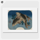 アートポスター-Hokusai's Carp Swimming by Water Weeds - 葛飾 北斎 Poster.