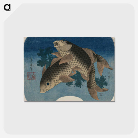 アートポストカード-Hokusai's Carp Swimming by Water Weeds - 葛飾 北斎 Postcard.