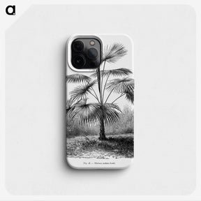 1-74_Les-Palmiers-Histoire-Iconographique_phone