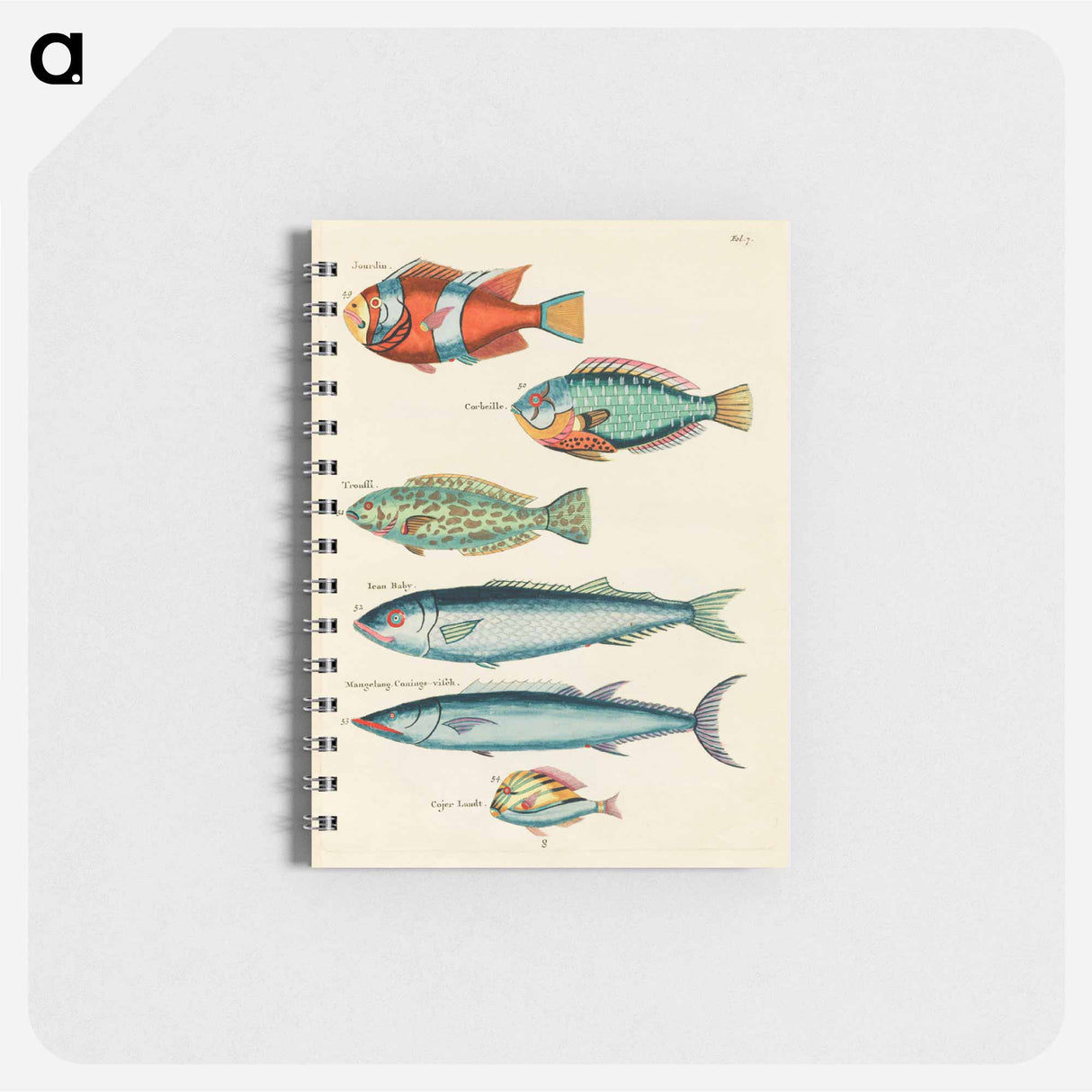 Moluccan Fishes
 - ルイ ルナール Memo.