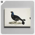 1-74_Magnus-von-Wright_canvas