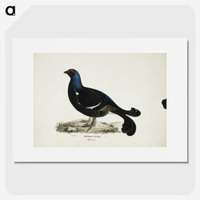 1-74_Magnus-von-Wright_picture
