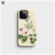 1-74_Maria-Sibylla-Merian_phone