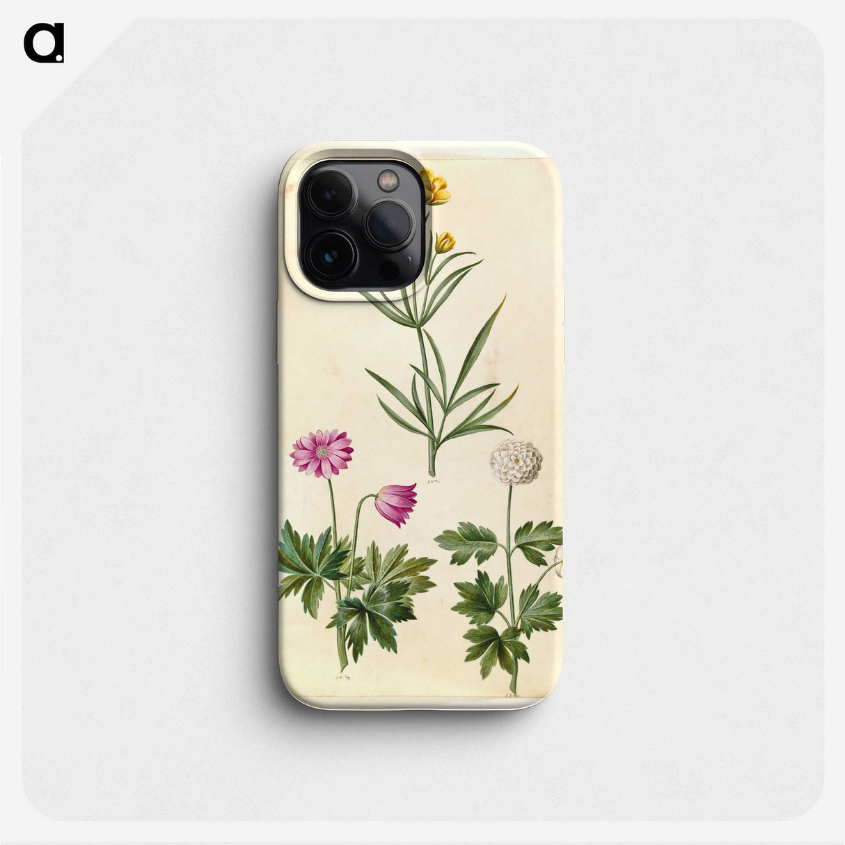 1-74_Maria-Sibylla-Merian_phone