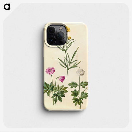 1-74_Maria-Sibylla-Merian_phone