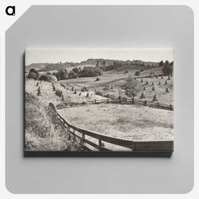 1-74_Marion-Post-Wolcott_canvas