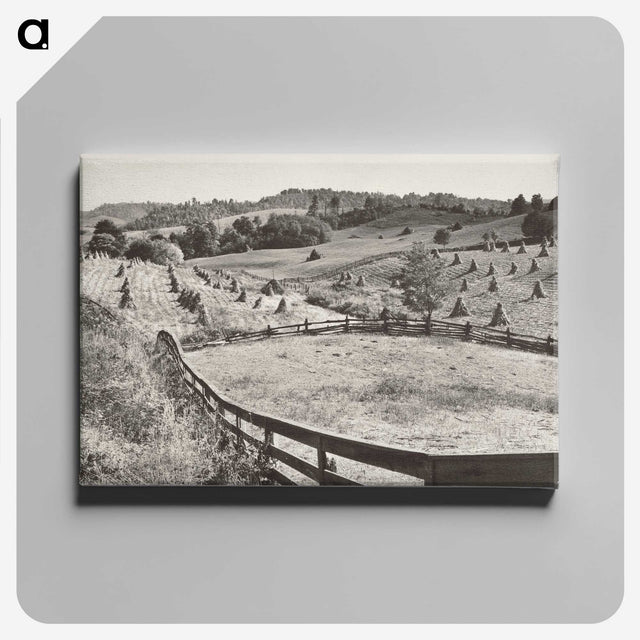 1-74_Marion-Post-Wolcott_canvas