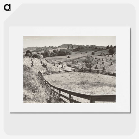 1-74_Marion-Post-Wolcott_picture