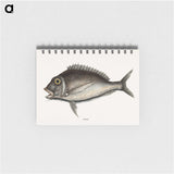 1-74_Mark-Catesby_memo
