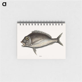 1-74_Mark-Catesby_memo