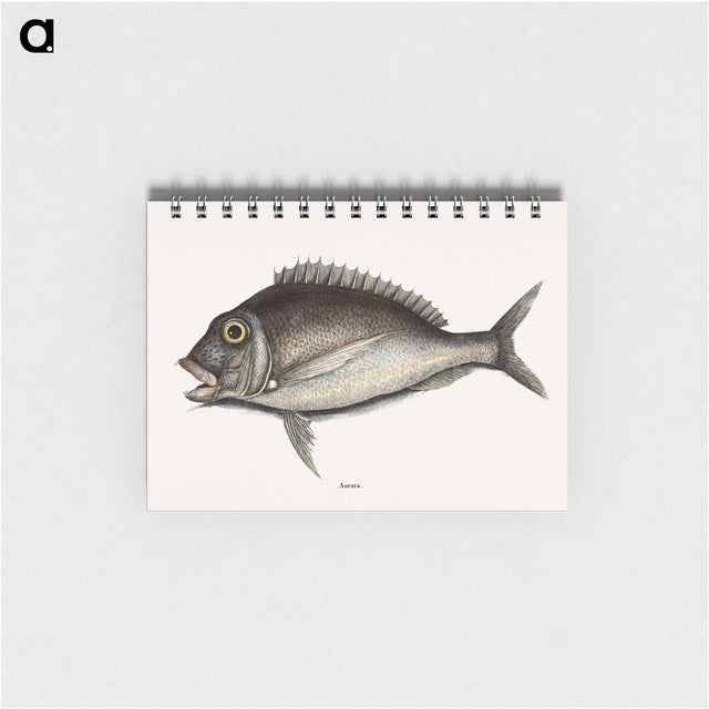 1-74_Mark-Catesby_memo