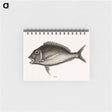 アートメモ帳-Porgy
 - マーク ケイツビー Memo.