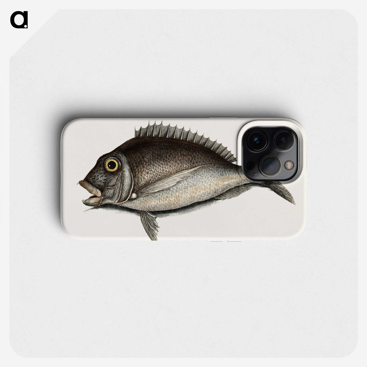 1-74_Mark-Catesby_phone