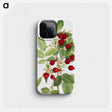 1-74_Mary-Vaux-Walcott_phone